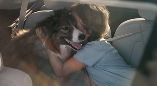 Volvo Car Russia организует благотворительную акцию для помощи животным